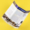 brochure sample